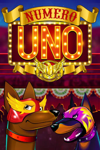 Бесплатная версия игры Numero Uno | VAVADA KZ 